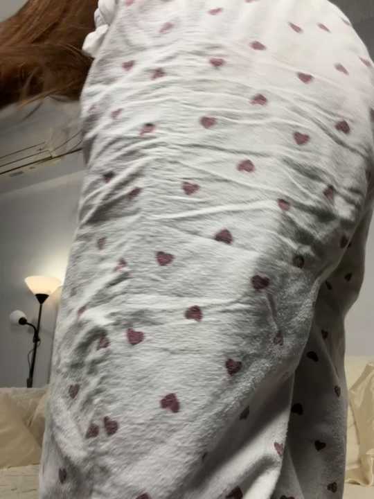 SkylineBliss cam recording