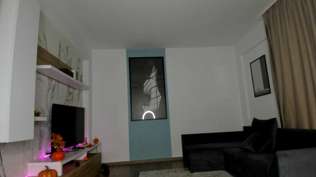 SophiaRay cam recording