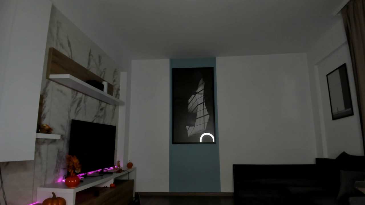 SophiaRay cam recording