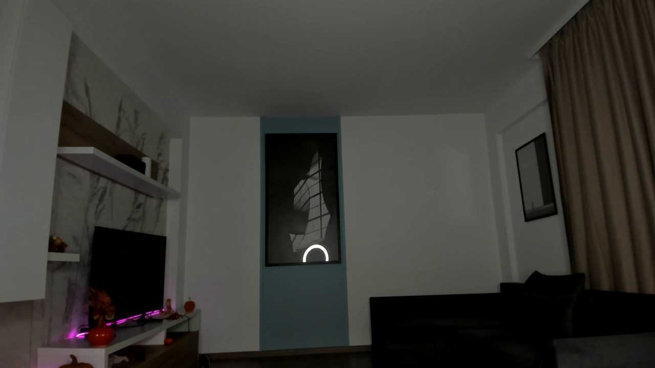 SophiaRay cam recording