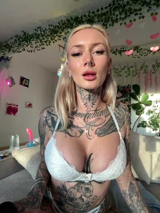 Stella-Kink cam recording