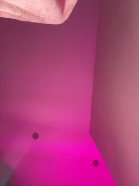 Sweet_Anny22