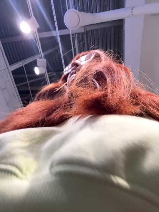 Teya_moon_