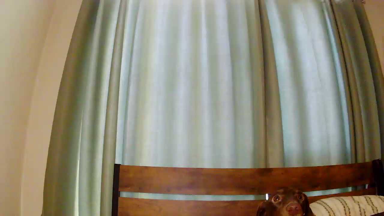Theone_T cam recording