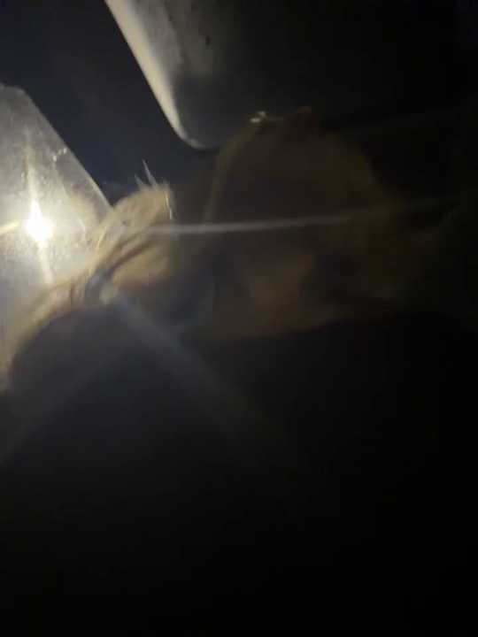 TrueSexyCrime cam recording