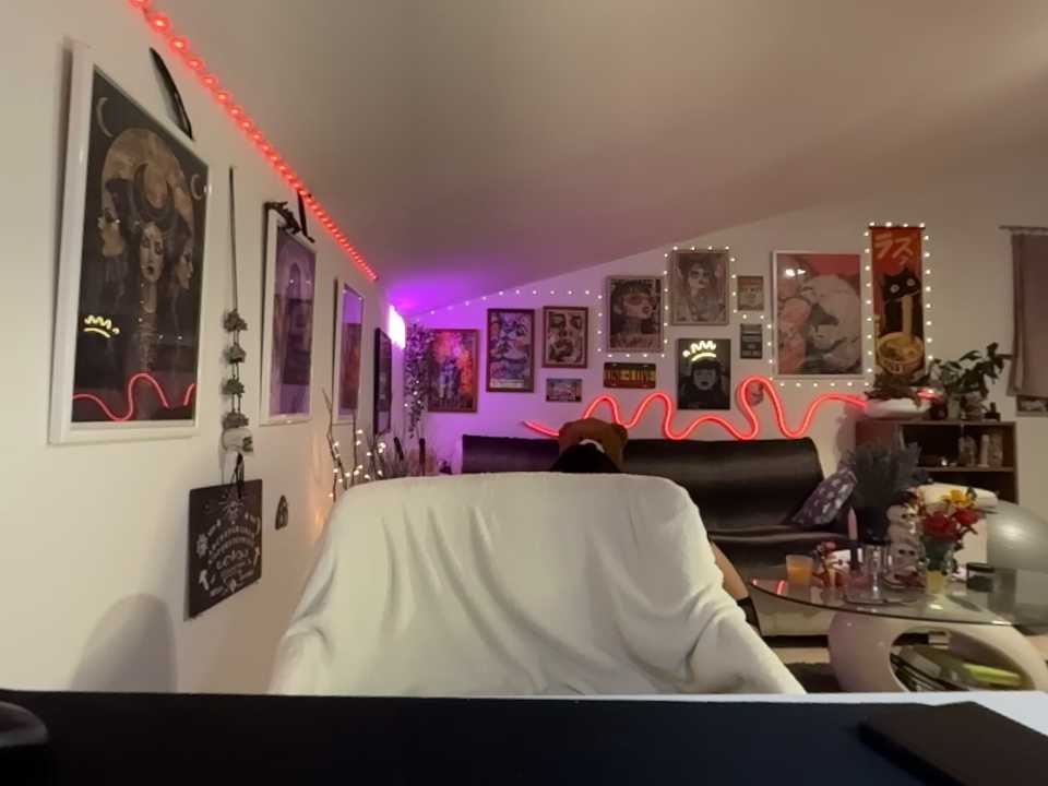 U_prolazu cam recording
