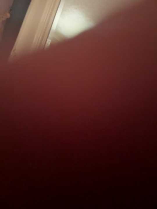 Vegas_Vixen-xo cam recording