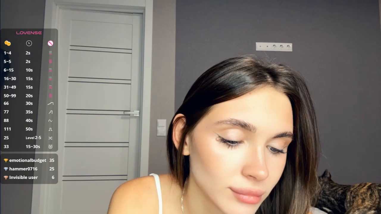 Veluxe cam recording