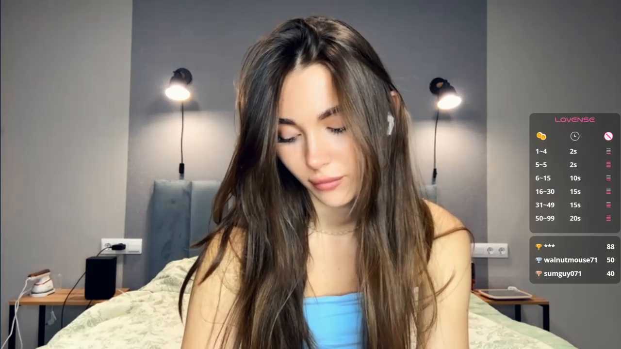 Veluxe cam recording