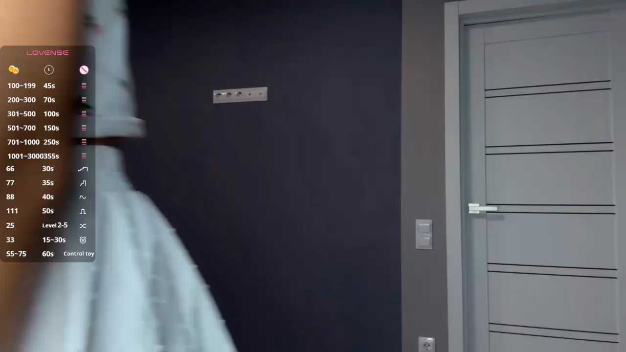 Veluxe cam recording