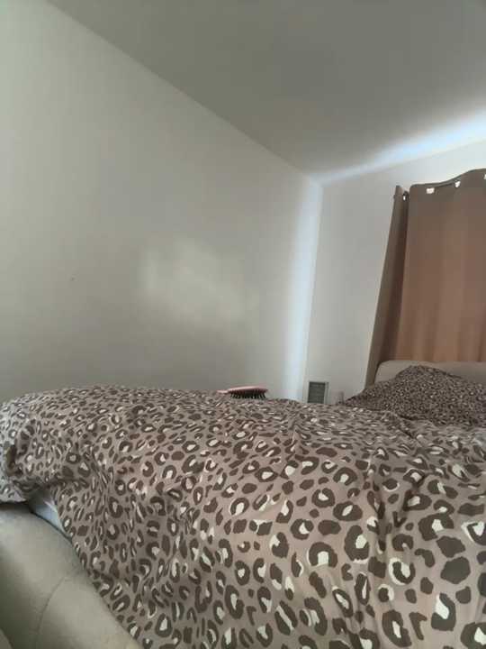 Velvet-DesireXX Stripchat recording – Oct 25, 2026