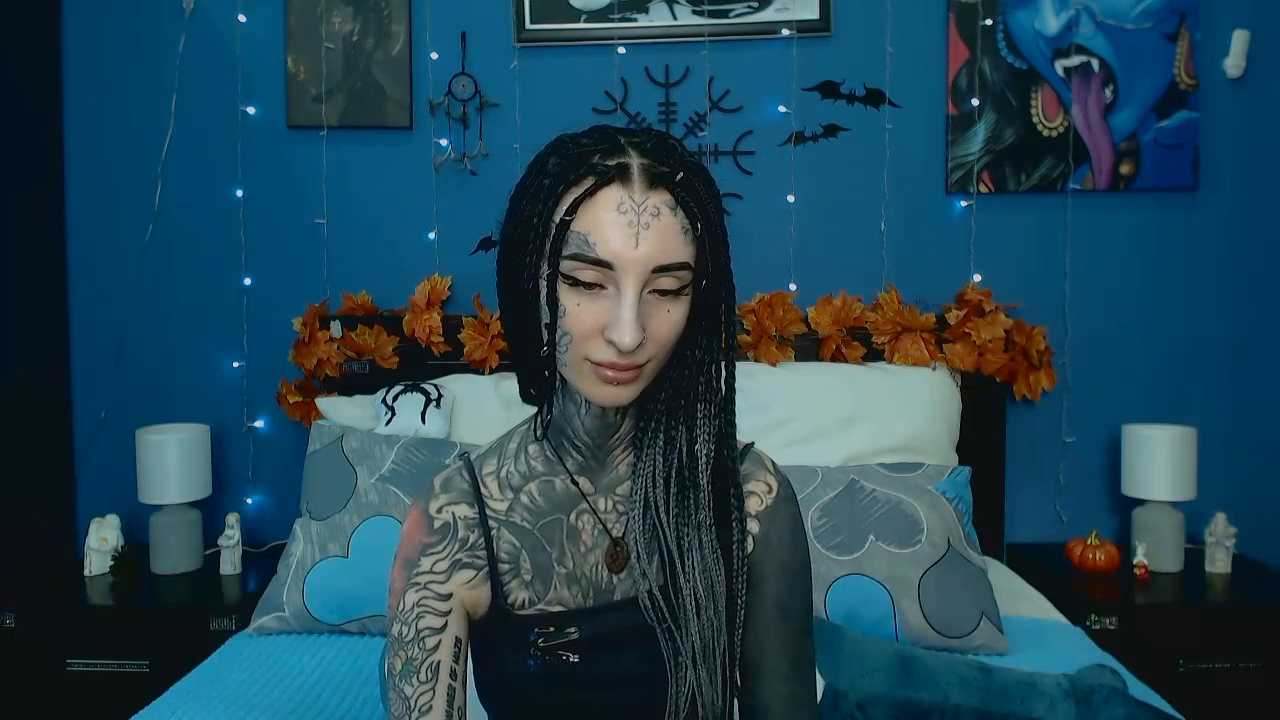 Velvetbat cam recording