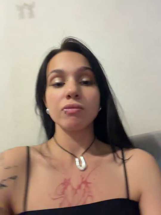 VendiMur cam recording
