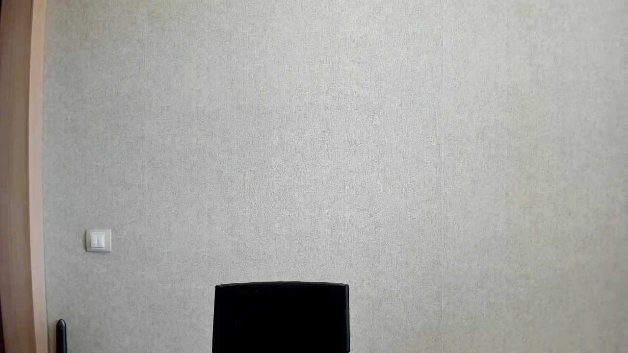 Viola-Whisper cam recording