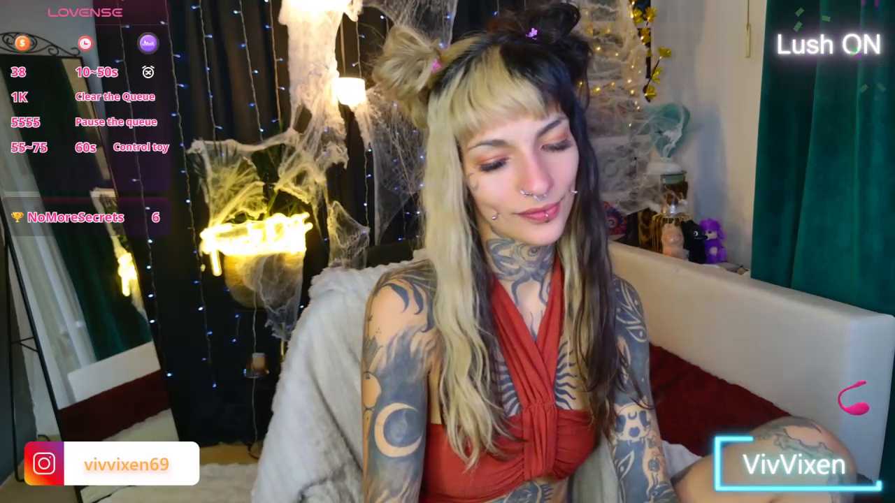 VivVixen cam recording
