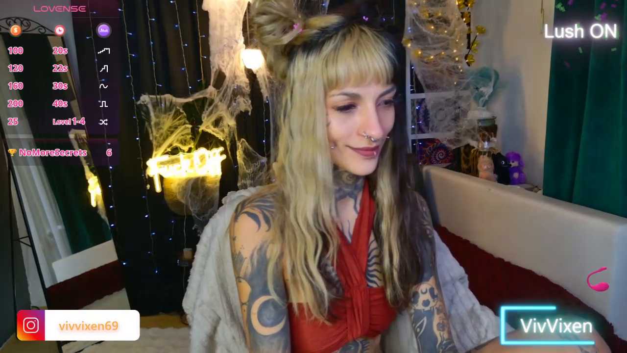 VivVixen cam recording