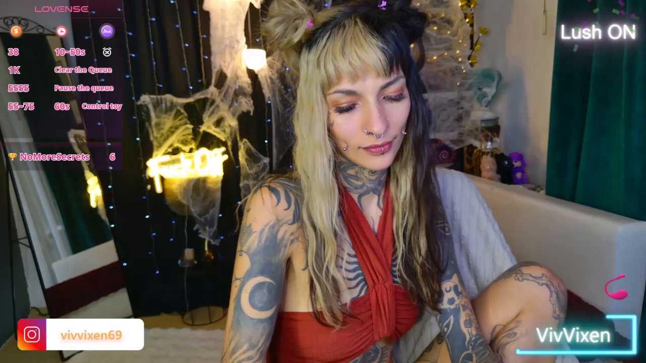 VivVixen cam recording
