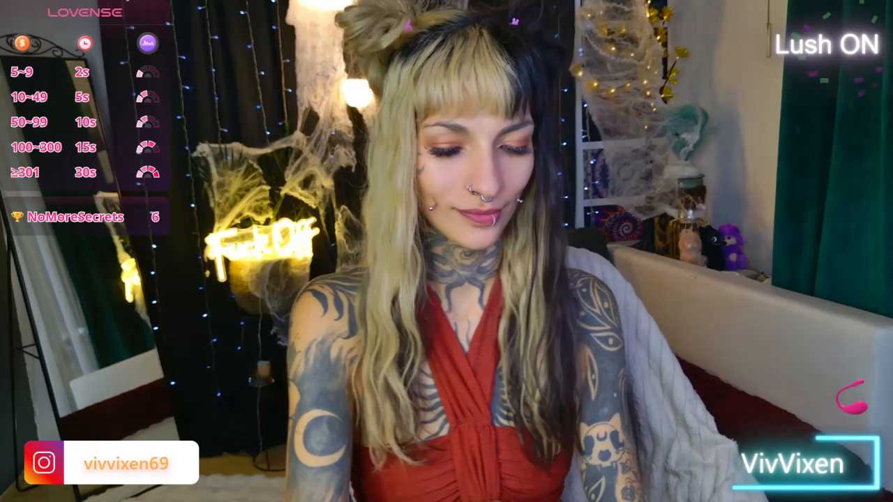 VivVixen cam recording