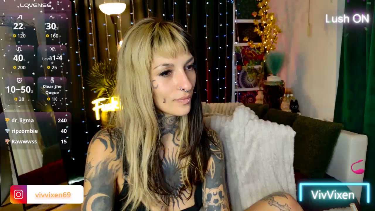 VivVixen cam recording