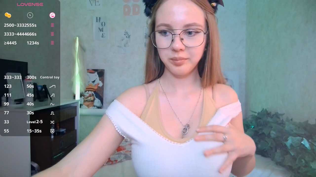 ViviLux cam recording
