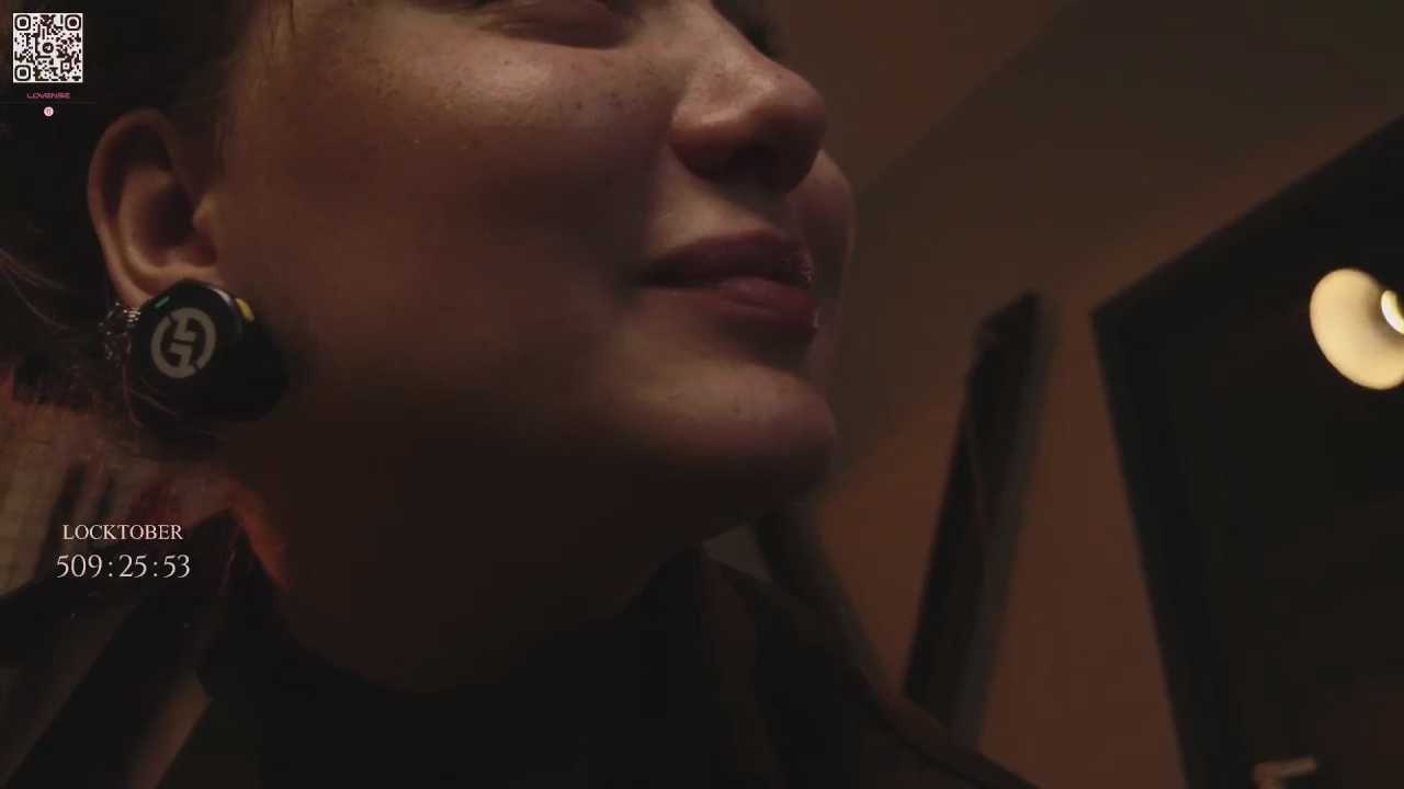 VortexProject cam recording