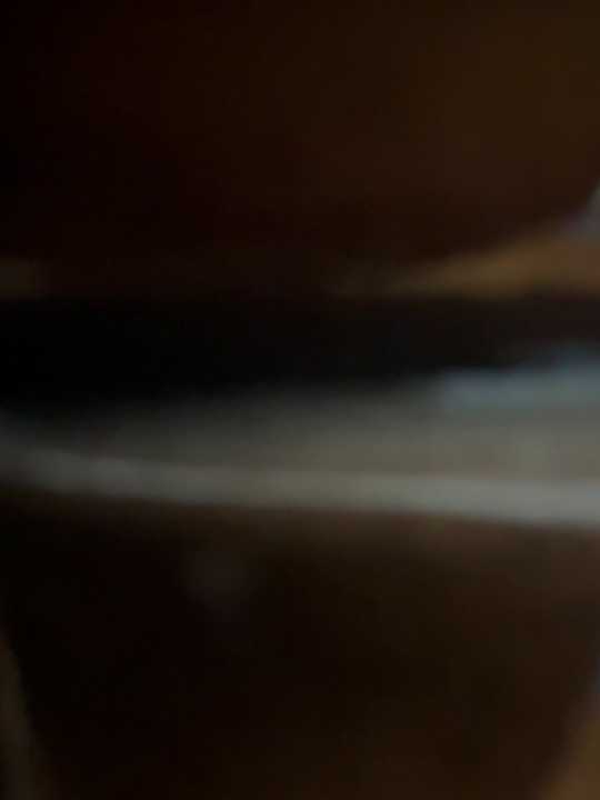Wild_Mia-Tokio cam recording