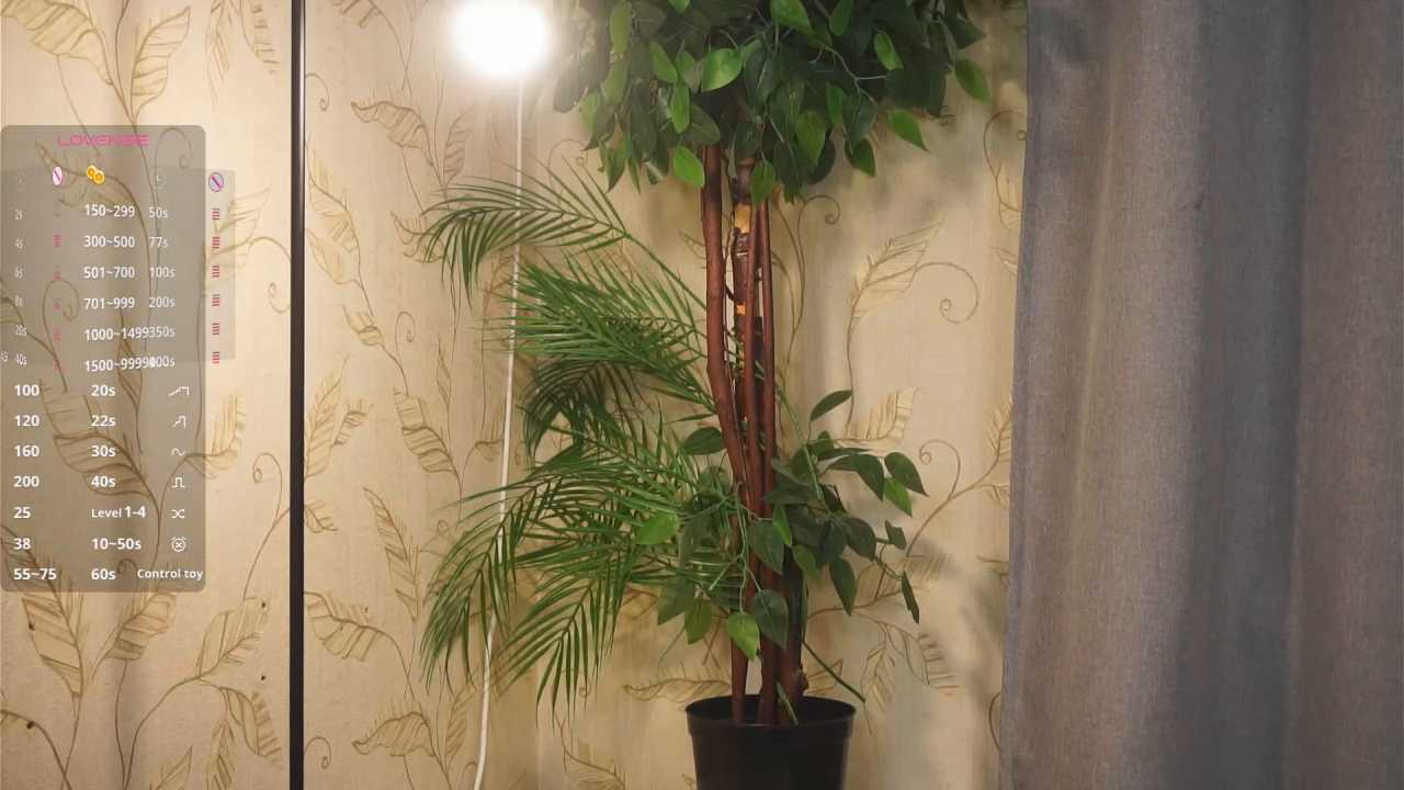 WilmaViesca cam recording