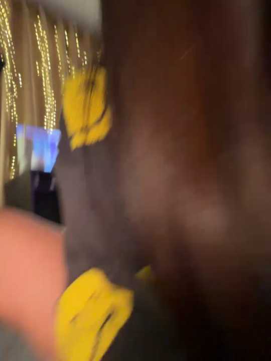 aly_golden_