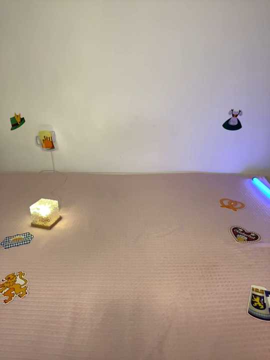 amazondolls cam recording