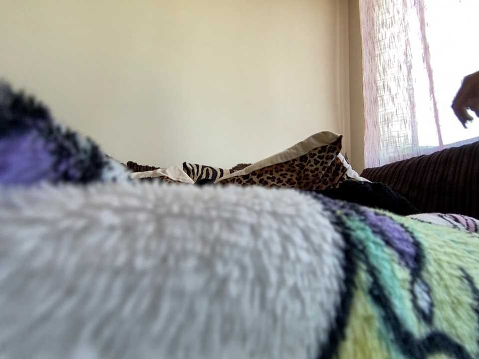 babygirltiti cam recording