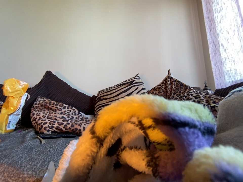 babygirltiti cam recording