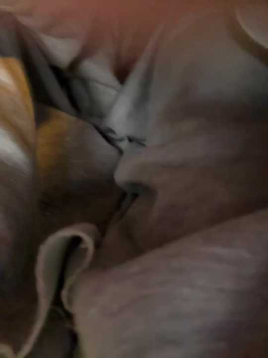 bambi_lu cam recording