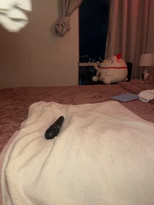 blackcatt26 Stripchat recording – Oct 27, 2026