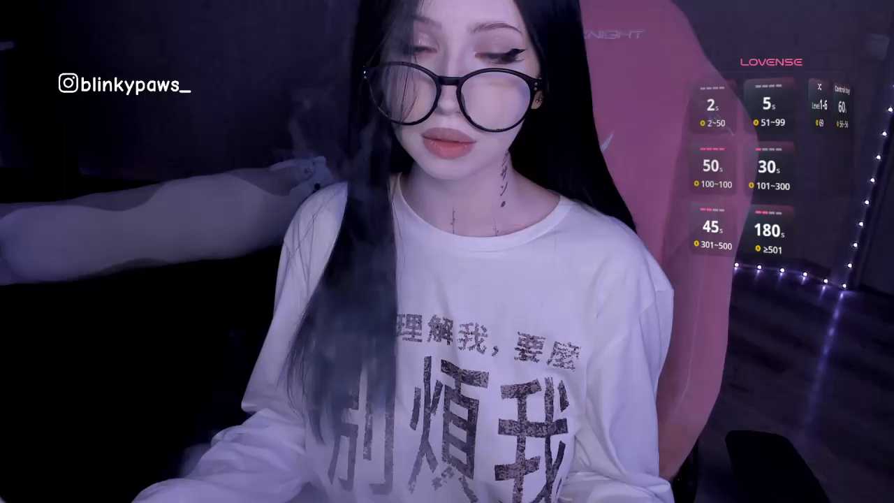 blinkypaws cam recording