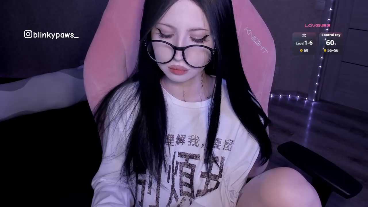 blinkypaws cam recording