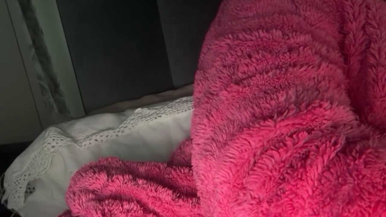 blissdimicco cam recording
