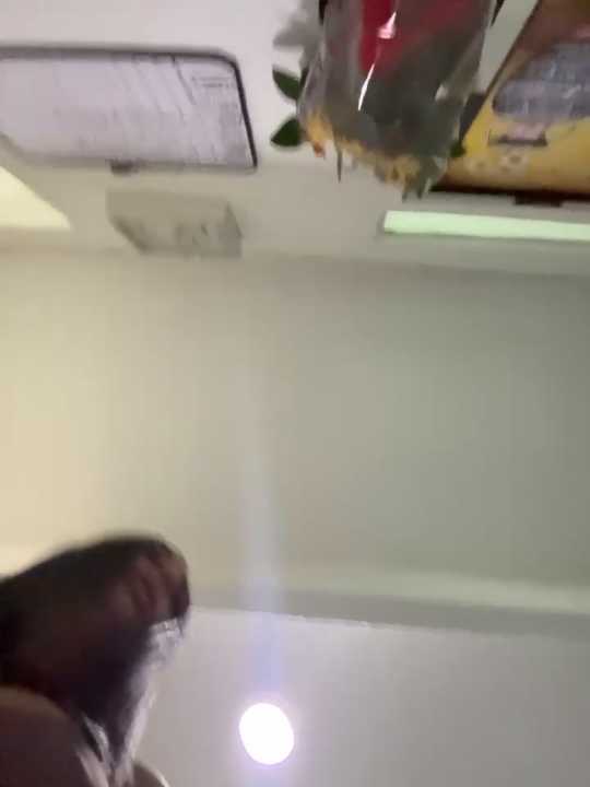 charlotte_stevenss_