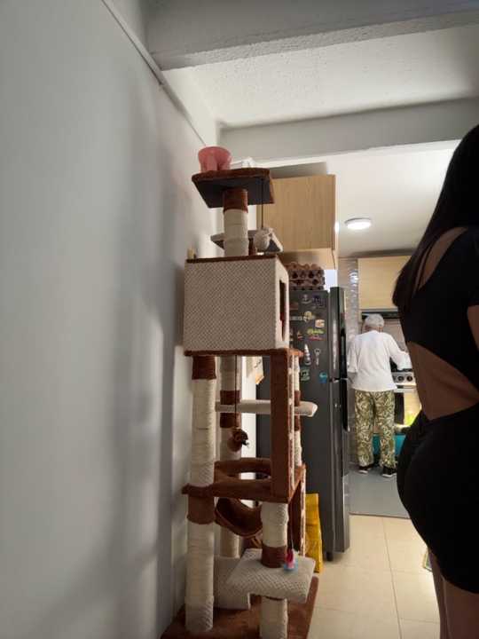 charlotte_stevenss_ cam recording