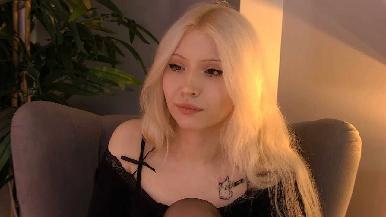 ctrlsleep cam recording