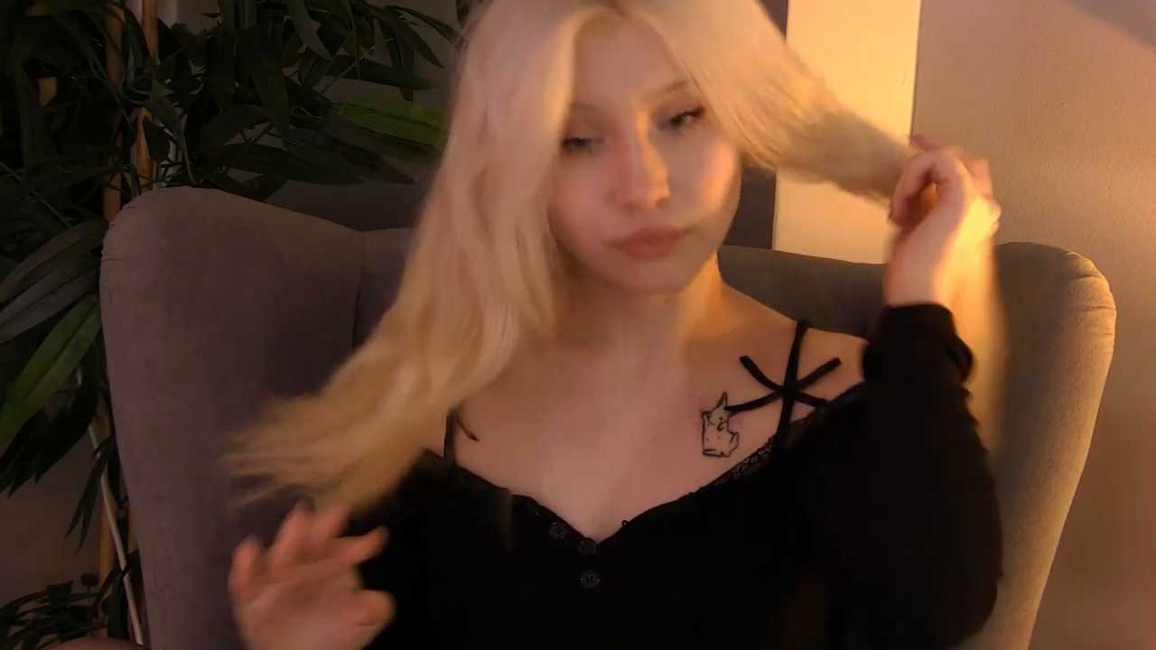 ctrlsleep cam recording