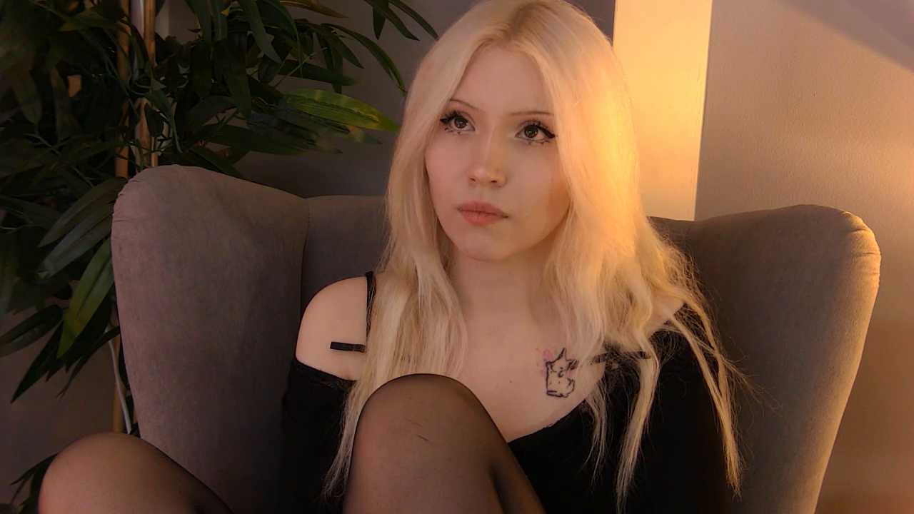 ctrlsleep cam recording