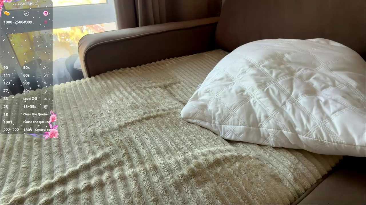 dewmelt cam recording