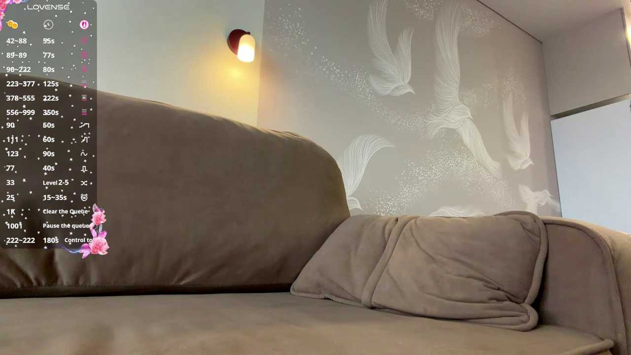 dewmelt cam recording