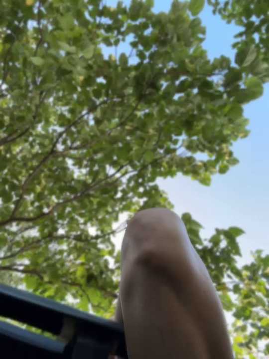 didihairypussy
