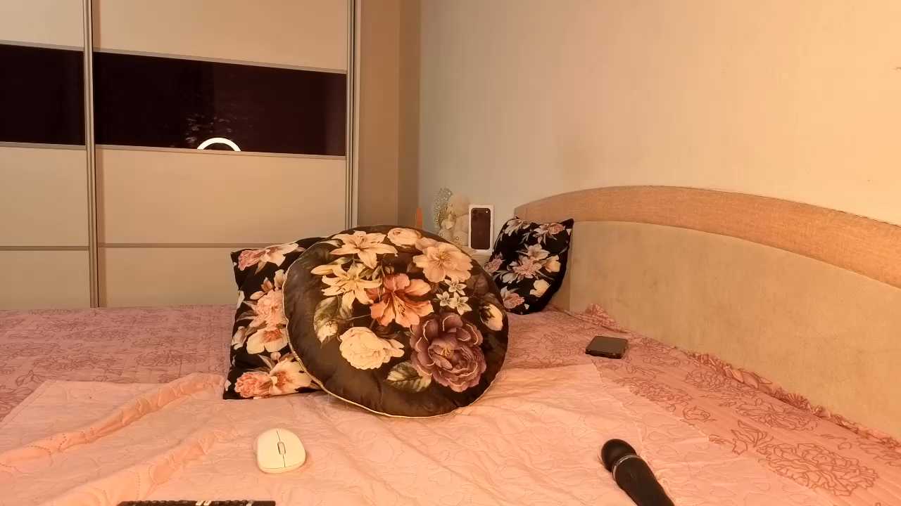 dottika cam recording