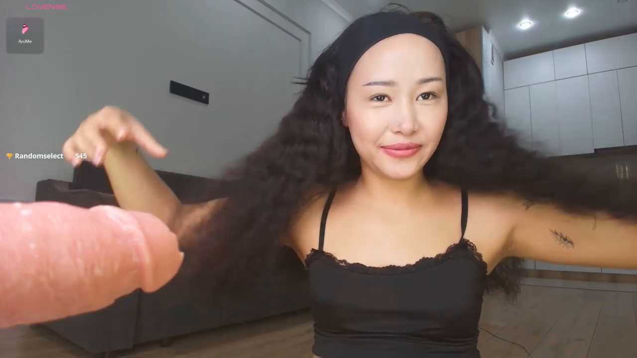 hangiho cam recording