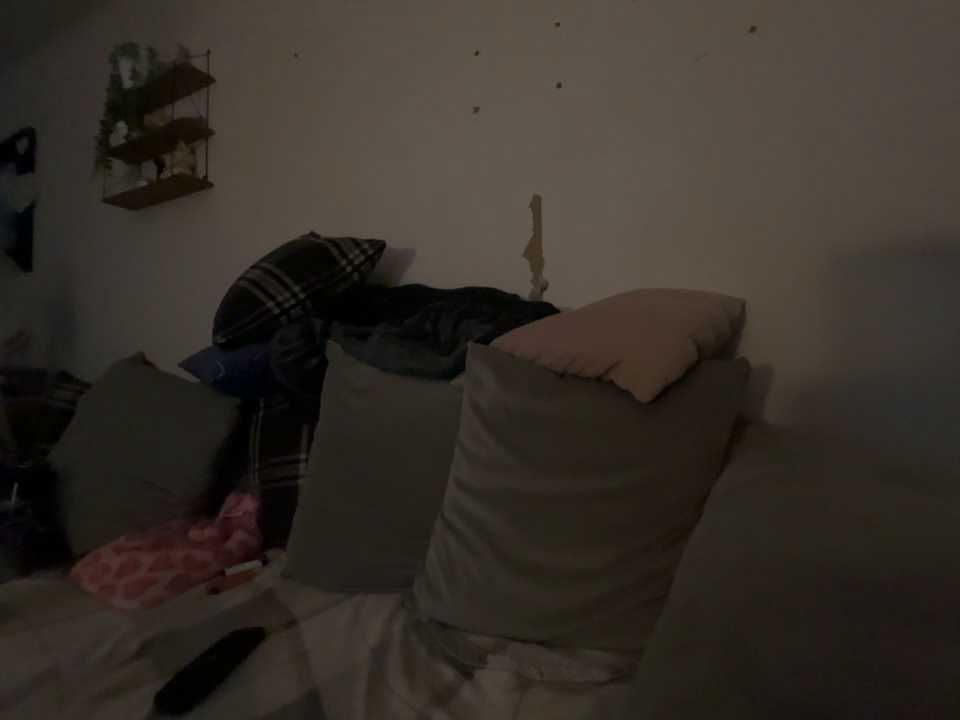 hornyhollyx