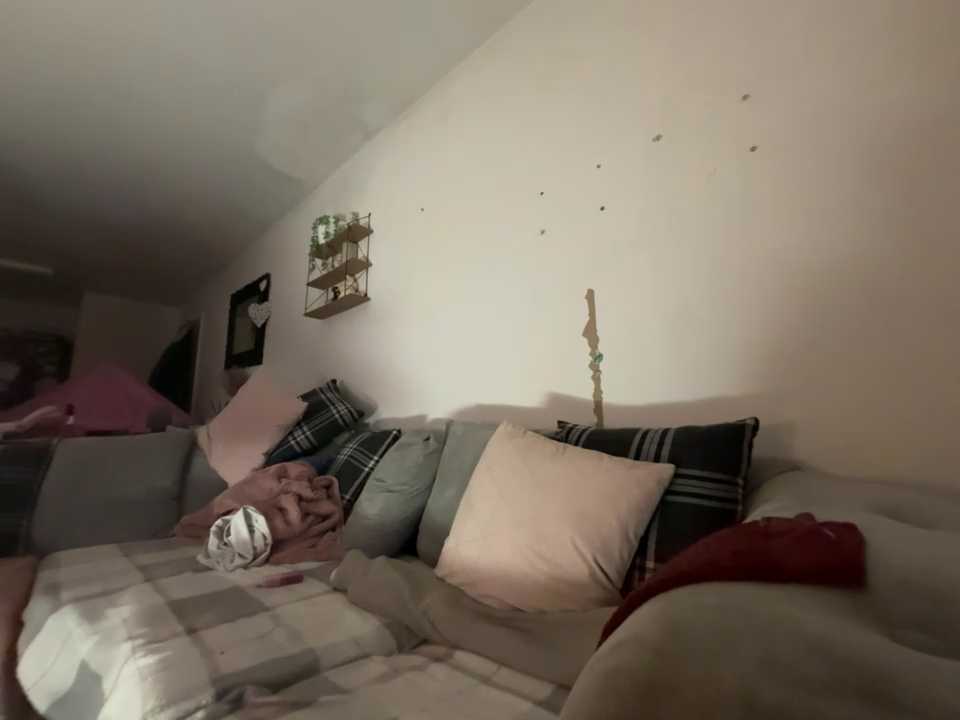 hornyhollyx cam recording