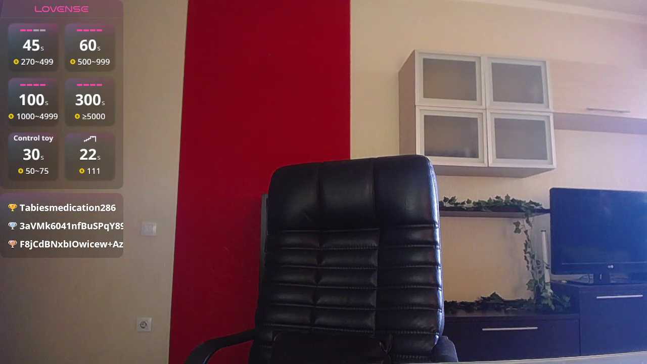 ladysabotage cam recording