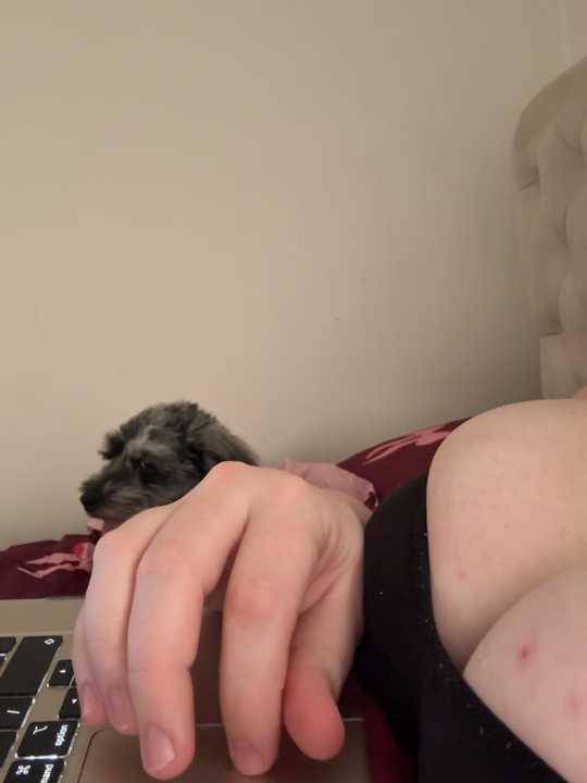 laylajonesxxx